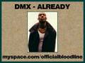DMX - Already