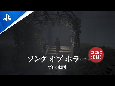 『ニャンザの冒険』プレイレビュー! 動物たちが暮らす世界で厄災の謎を追うアクションRPG!