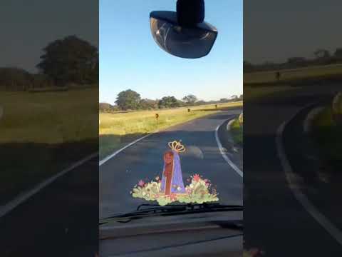 TREVO DE ASSIS SÃO PAULO