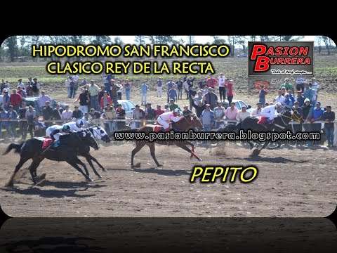 Pepito, San Francisco (20-08-17)