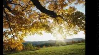 Loreena McKennitt - Down by the Sally Gardens