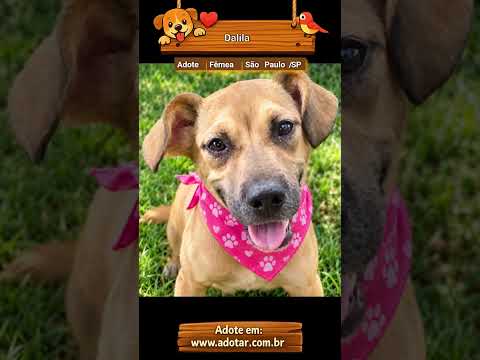 Vídeo de Dalila