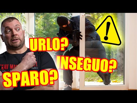 LADRI IN CASA - cosa GLI PUOI FARE (e cosa invece no)