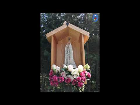 Pustelnia 16.07.2020 - Kazanie