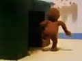 Curious George Fools The Fire Team