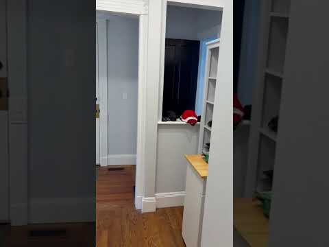 477 Prospect Street - Video 1 of 1