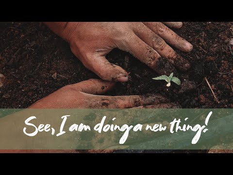 23rd January 2022 Morning Service- Mark Fyfe