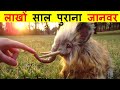 ये विलुप्त जानवर फिर से धरती पर लौट आए T