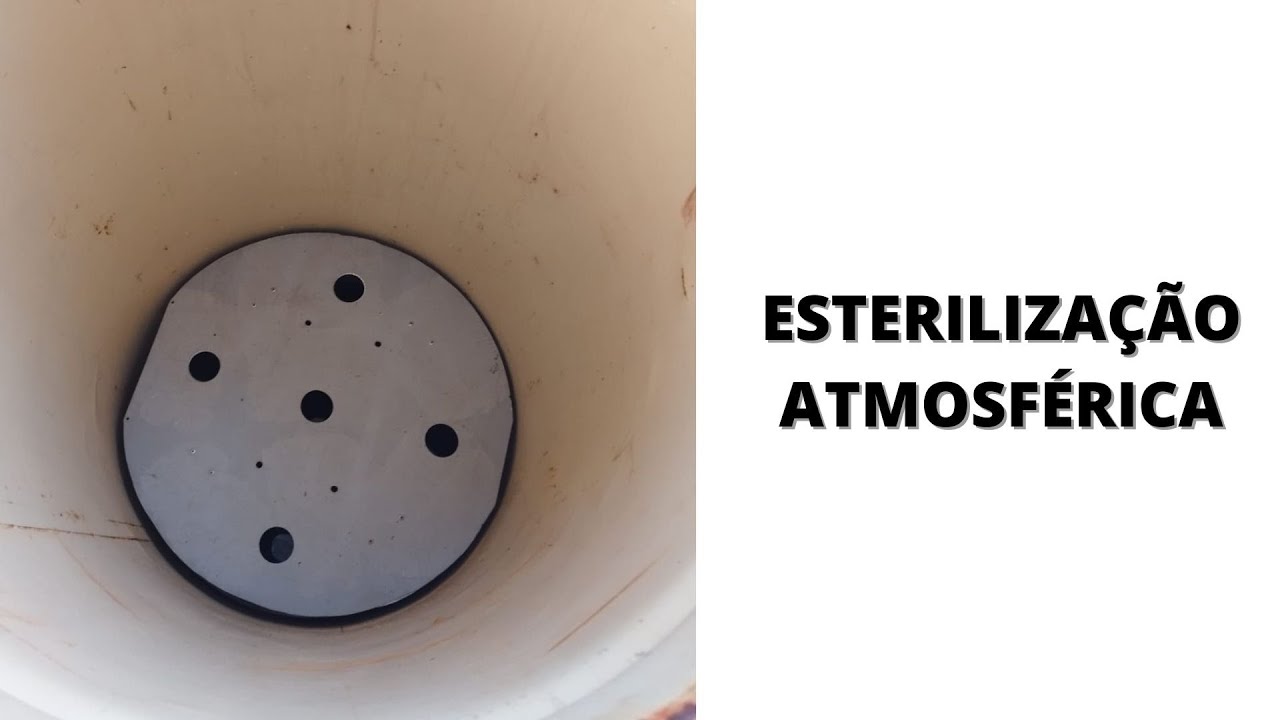 ESTERILIZAÇÃO de substrato para COGUMELOS. Como montar seu tambor aquecido por resistência.