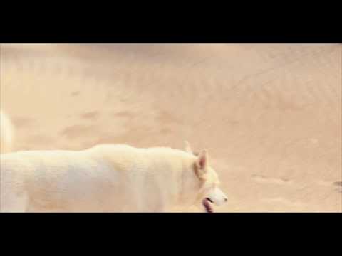 Ivan Cappello - Totem (Official Video)