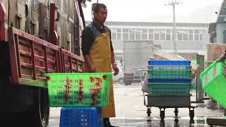 WK7Video - Affordable Housing in Beijing -- Living in Dorm