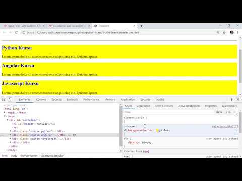 Python - Selenium Selector
