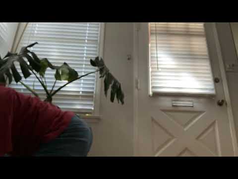 Trying to double jump