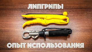 Ссылка