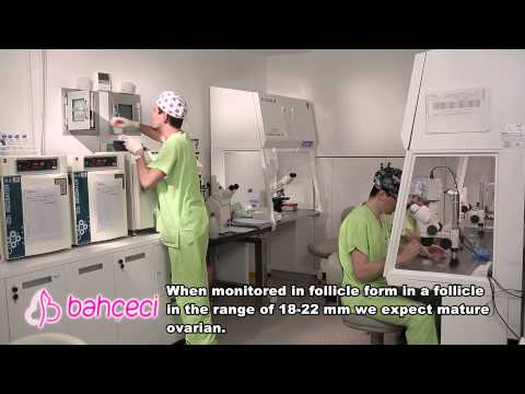 What does mature ovarian refers to, how it is understood?