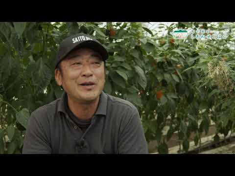 2024年3月1日(金)放送 カラーピーマン生産者の声