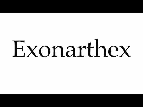 How to Pronounce Exonarthex