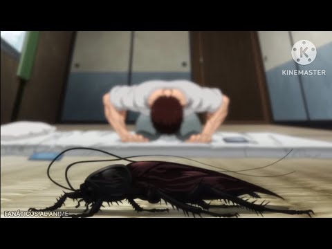 LA MAESTRA DE BAKI - BAKI SON OF OGRE LATINO