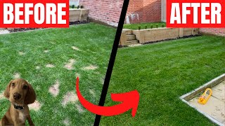 How to Fix Dog Urine Spots on Your Lawn - Easy Fix!