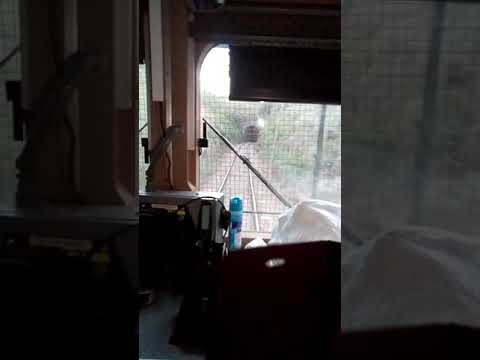 Pasando x el túnel ferroviario de Bañado de Rocha Tacuarembó