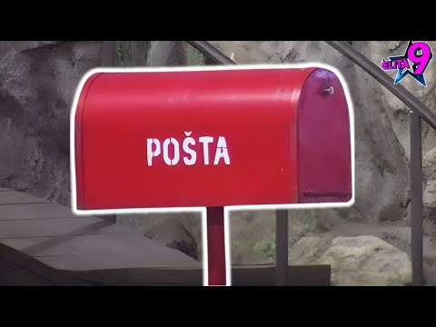 PREKINUO TIŠINU! Veliki šef se HITNO oglasio!!! zadruga uzivo elita 9