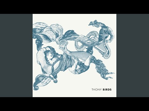 Video per il significato della canzone Flowers blossom di Thony