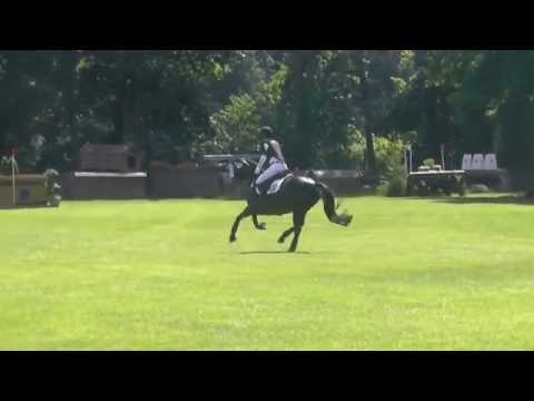 2015 Sunny Side Up Nachwuchschampionat