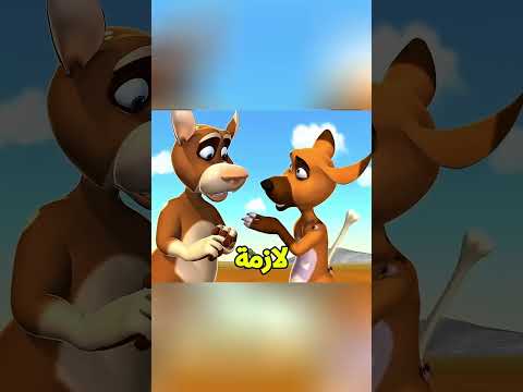 الكلب الطماع بيسرق العضمة الكبيره بس مش بيعرف يكسرها😲🐶؟