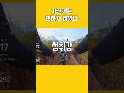 자전거가 주는 즐거움은 여전하다