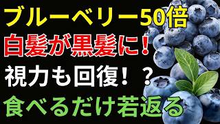 【医師解説】ブルーベリーより注目したい食材3選｜目と健康を考える食習慣