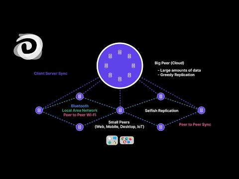 1.1 Intro to Ditto: the Big and Small Peer