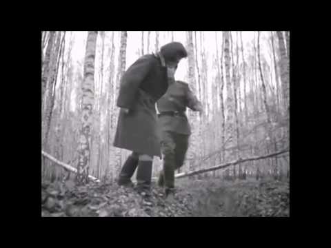 Zoltan Freitag feat. Laja Nebel - Alien Skies