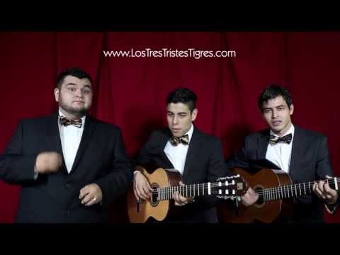 Como No Voy A Quererla - Tres Tristes Tigres
