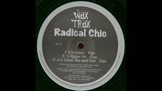 Radical Chic - In DA Shadows (Terry Francis Remix) [WAX 04]