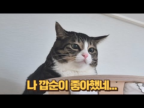 종일 심술부리던 보름이가 자기도 모르게 나온 행동으로 깝순이에 대한 마음을 들켰어요