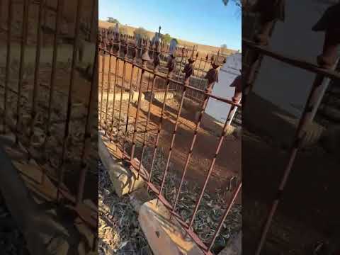 Highlight 1:02:46 – 1:07:45 from JJ's Adventures is live