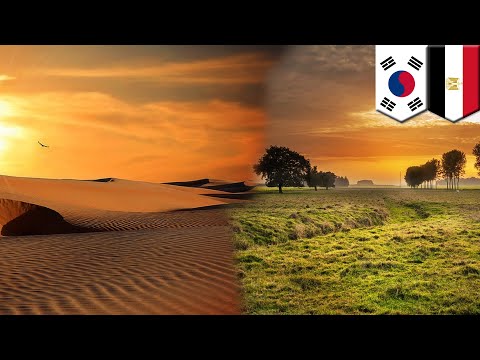 Turning the desert green: South Korea, Egypt turn Qattara Depression into farm - TomoNews