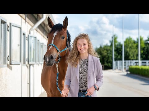 Betriebswirtschaft Pferd | Studium | Aeres University of Applied Sciences