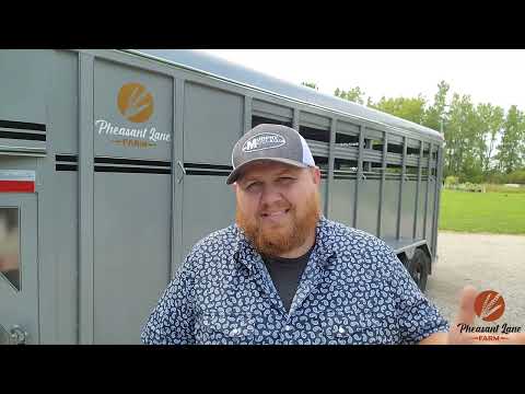 First Year With Meat Chickens- Our Pastured Poultry Process and Stats