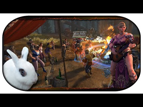 NEVERWINTER: Mit Sang und Klang durch Faerun 🎸 34 - Schreckenswolf im Sommeroutfit