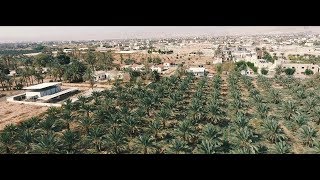 Thumbnail: A life changing loan: The story of a Palestinian farmer