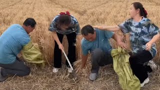 What is it in the wheat field? #happy sister 二姐可能是指某个人或者一个特定的群体，这里可能是一个网络用语或者方言中的说法。由于上下文不完整，难以给出更准