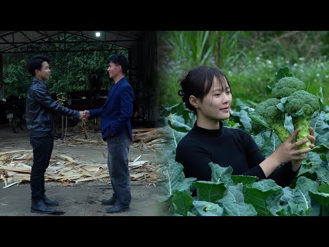 Hung works multiple jobs simultaneously to provide a better life for the woman he loves.