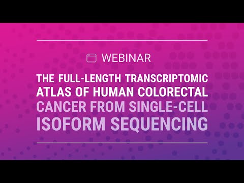The Full-Length Transcriptomic Atlas of Human Colorectal Cancer from Single-Cell Isoform Sequencing