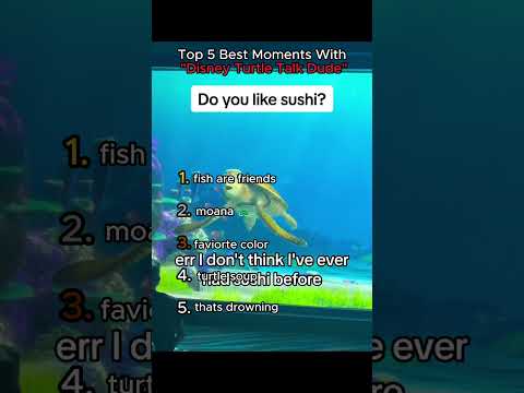 Top 5 Best Moments With Turtle Talk Dude