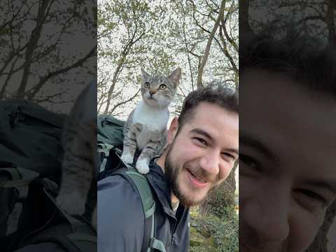 Am adoptat o pisica pe Camino?