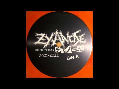 ZyanosE - Noise Philia: 2005-2011 LP 12