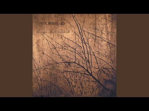 Left Behind video
