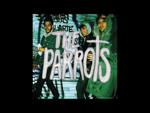 The Parrots - I did something wrong