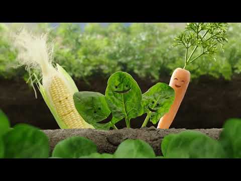 Iss bunter – mit iglo BLUBB!